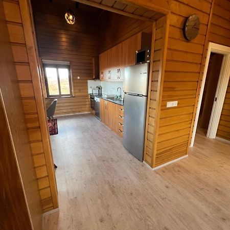 Large Luxury Cabin On The Golden Circle Next To Kerith The Crater. سيلفوس المظهر الخارجي الصورة
